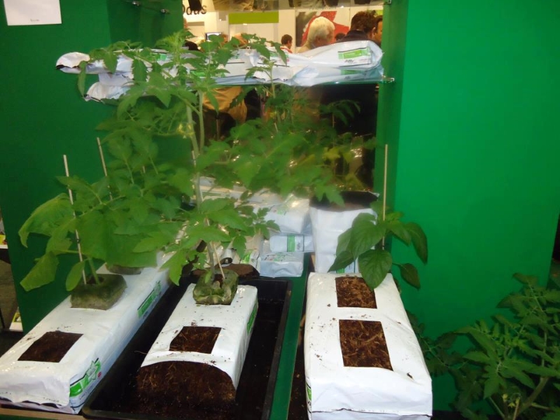 Cocopeat Grow Bags